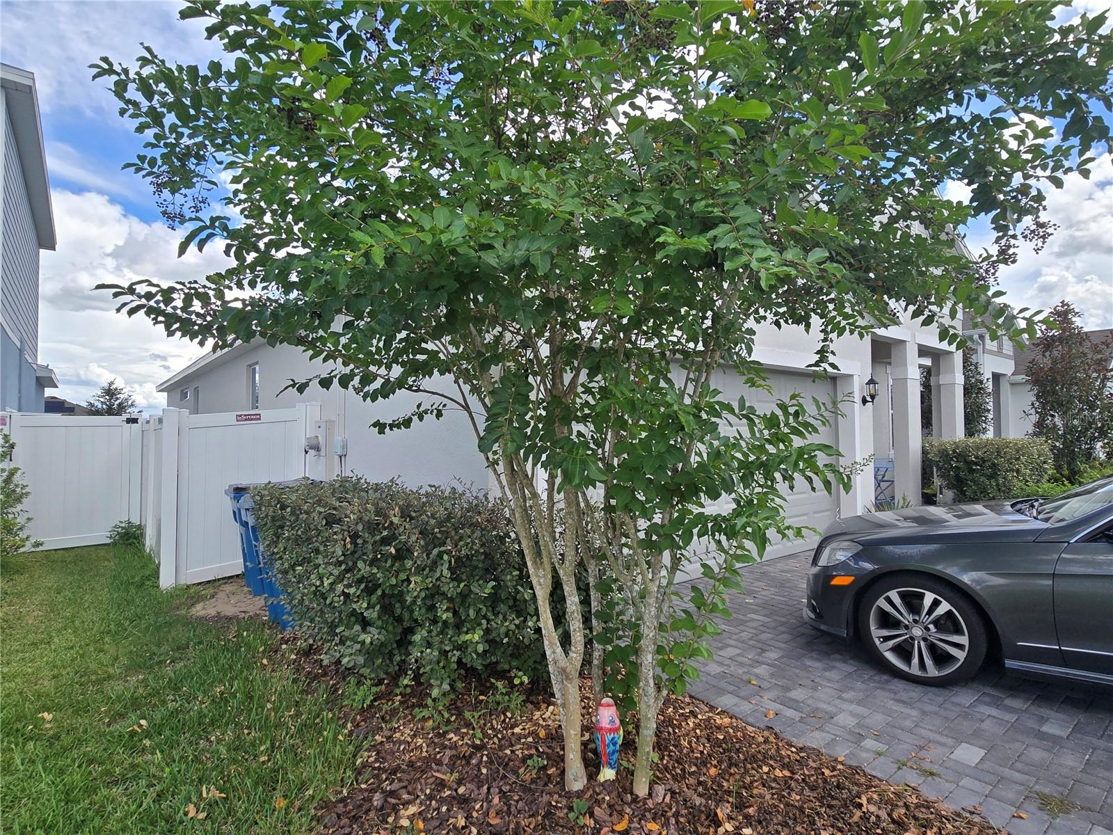 1225 Tupelo, Haines City, FL 33844