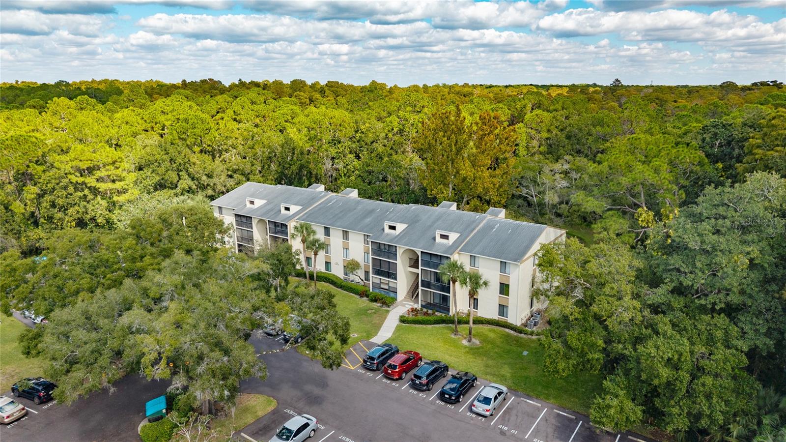 3232 Lake Pine Unit F2, Tarpon Springs, FL 34688