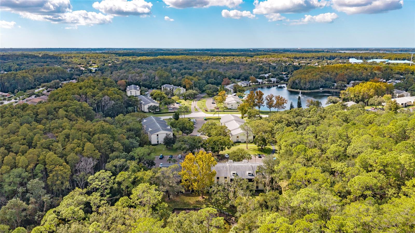 3232 Lake Pine Unit F2, Tarpon Springs, FL 34688