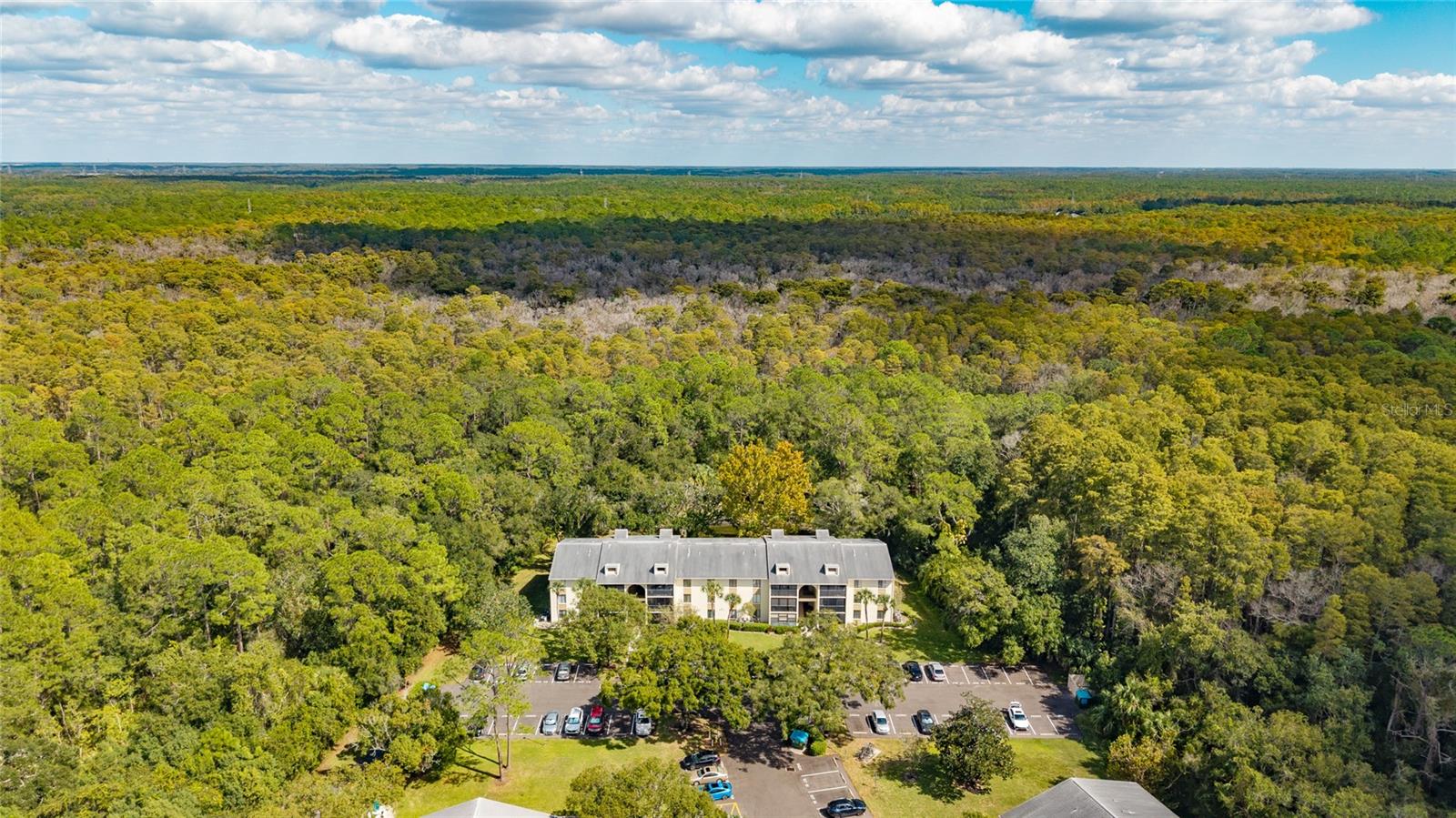 3232 Lake Pine Unit F2, Tarpon Springs, FL 34688