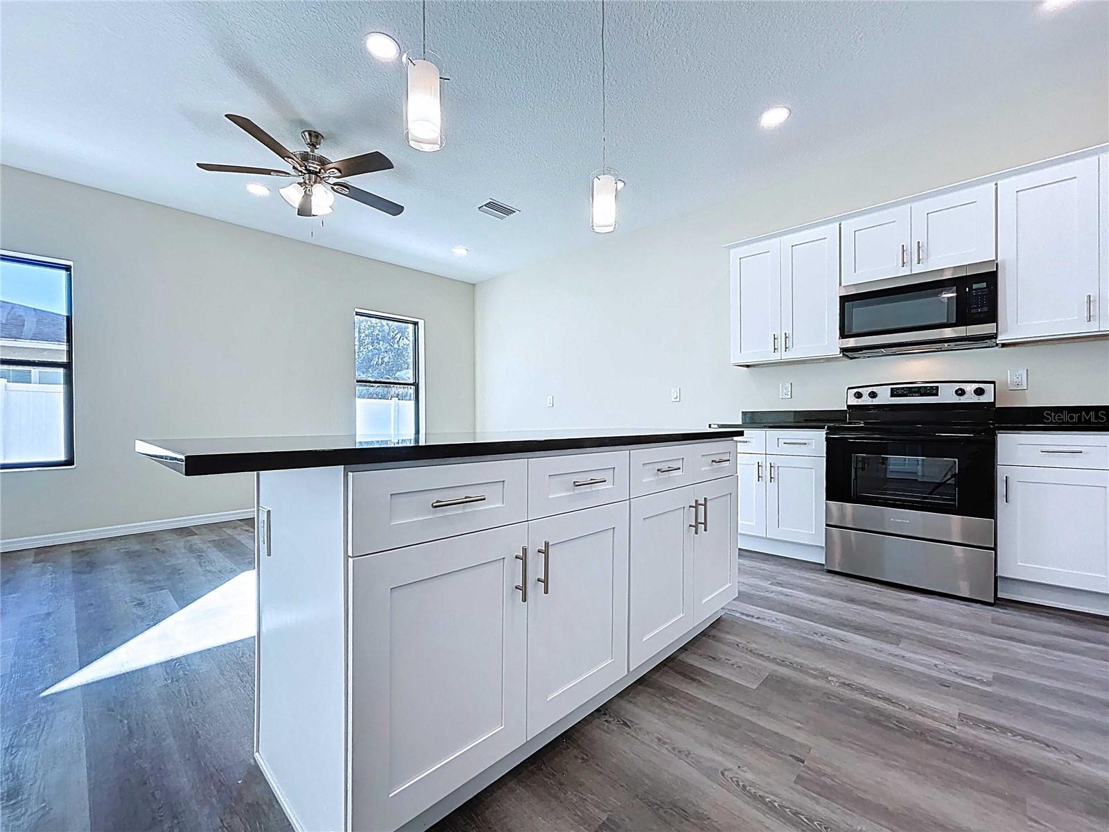 4368 Cambio Gardens Court, Tampa, FL 33610