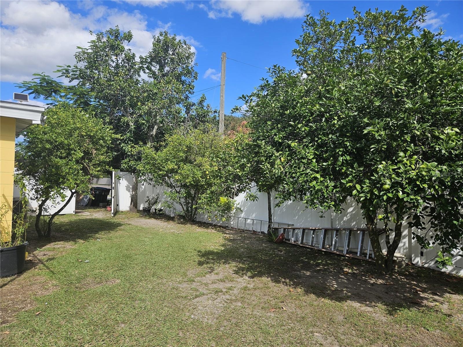 3902 Castell, Orlando, FL 32810