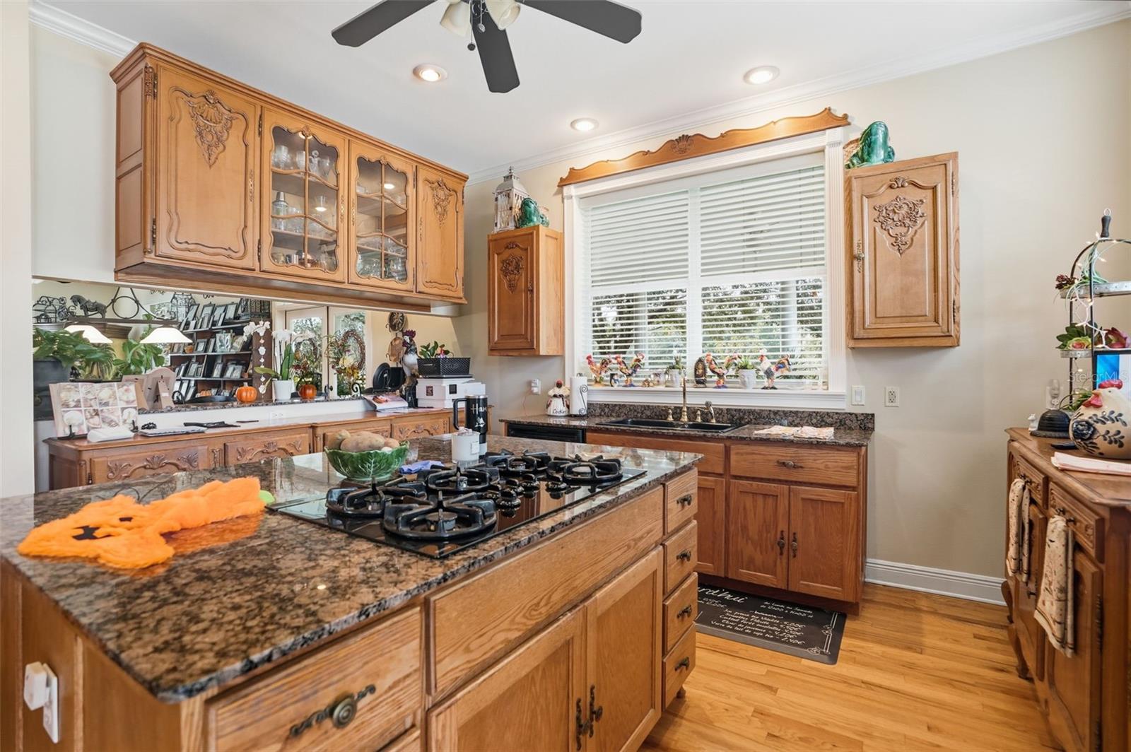 23337 Lake Lindsey, Brooksville, FL 34601