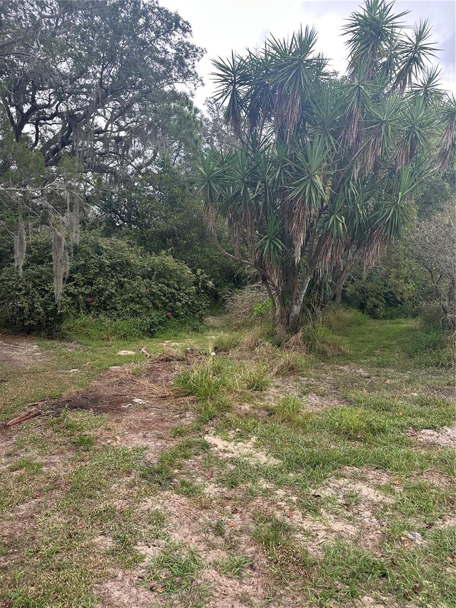 4998 Lake Lowery, Haines City, FL 33844