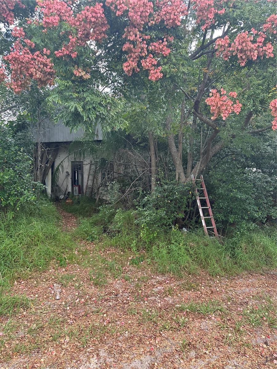 4998 Lake Lowery, Haines City, FL 33844