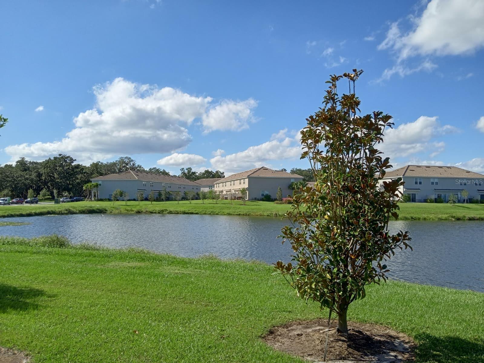 3604 Landing Net, Kissimmee, FL 34746