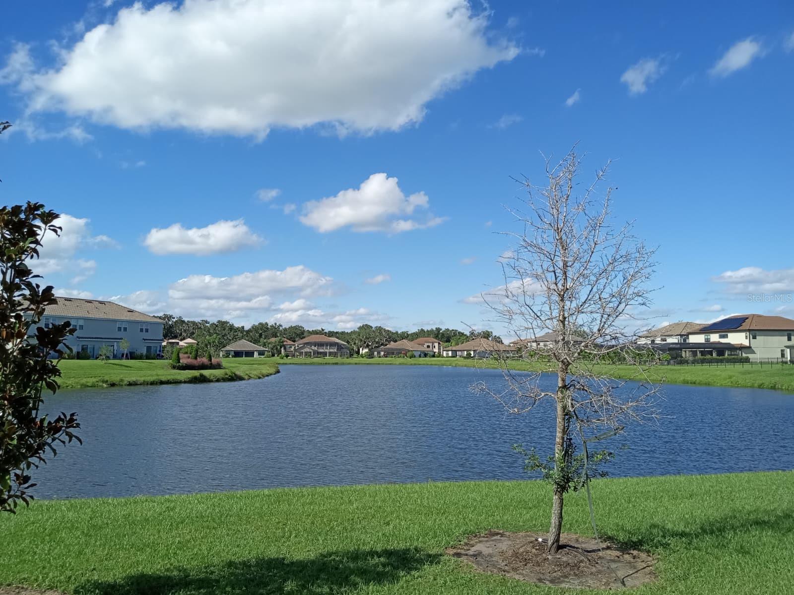3604 Landing Net, Kissimmee, FL 34746