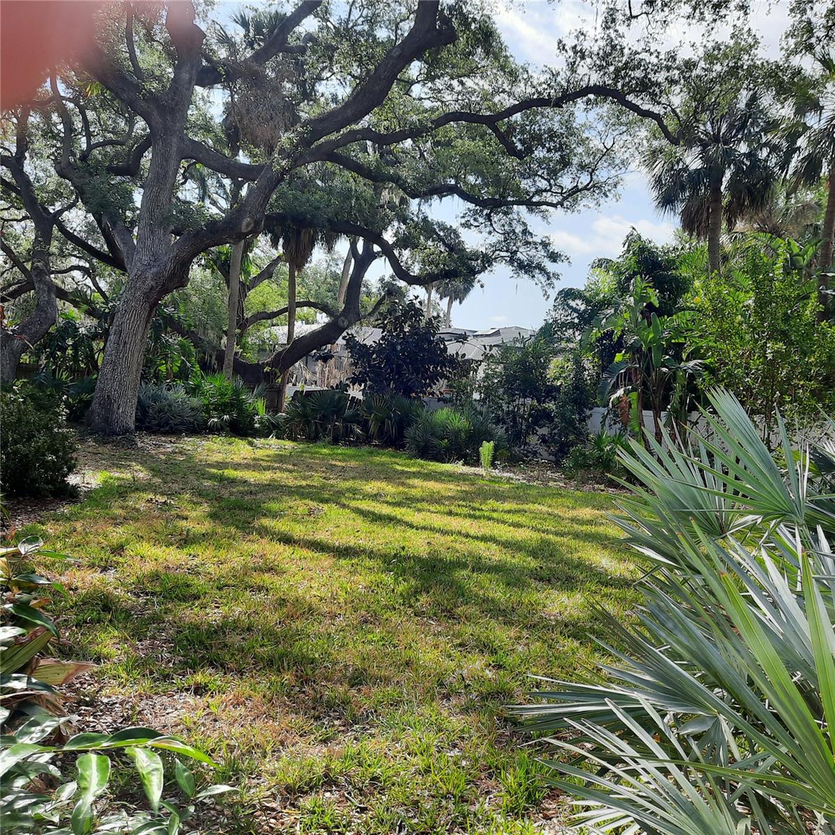 4806 San Jose, Tampa, FL 33629