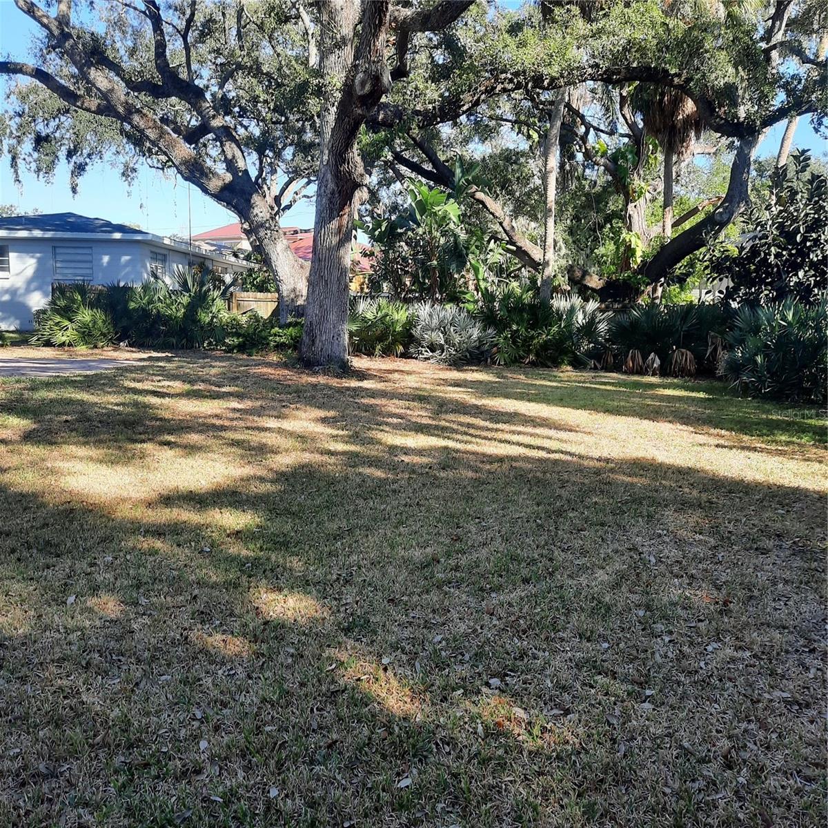 4806 San Jose, Tampa, FL 33629