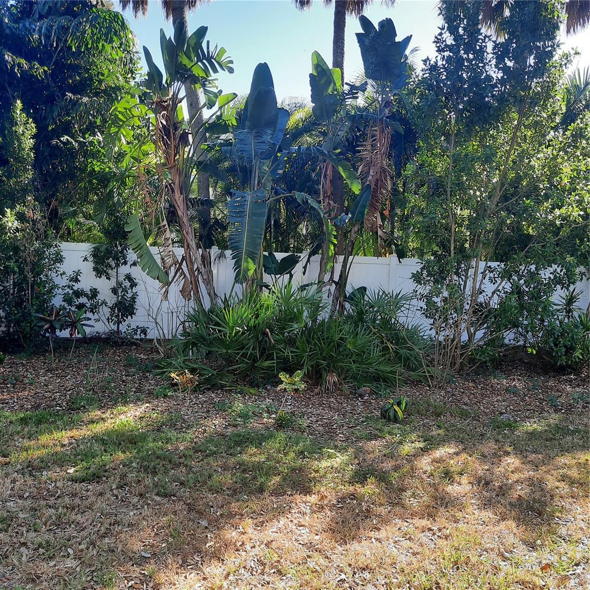 4806 San Jose, Tampa, FL 33629