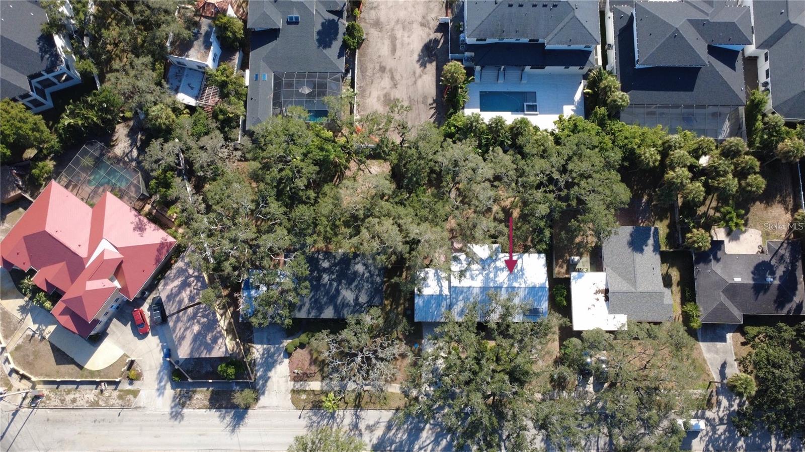 4806 San Jose, Tampa, FL 33629