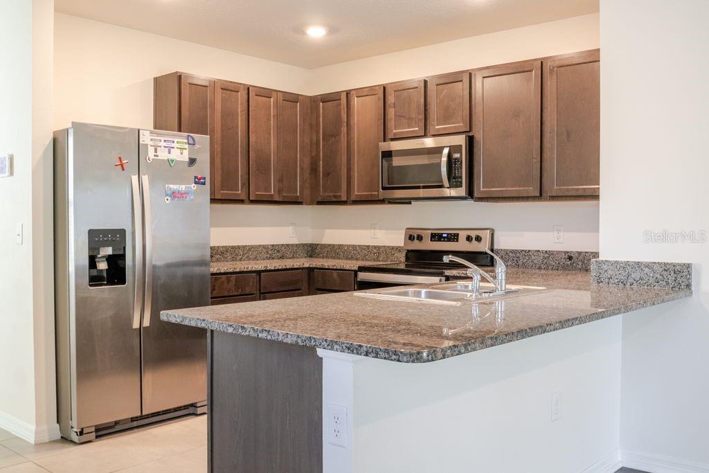10945 Trailing Vine, Tampa, FL 33610