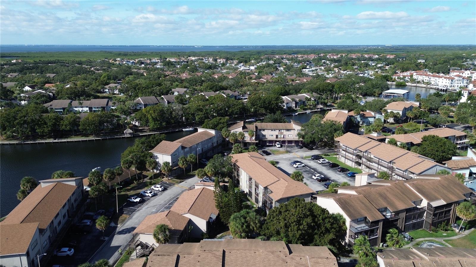 6336 Newtown Unit 36a2, Tampa, FL 33615