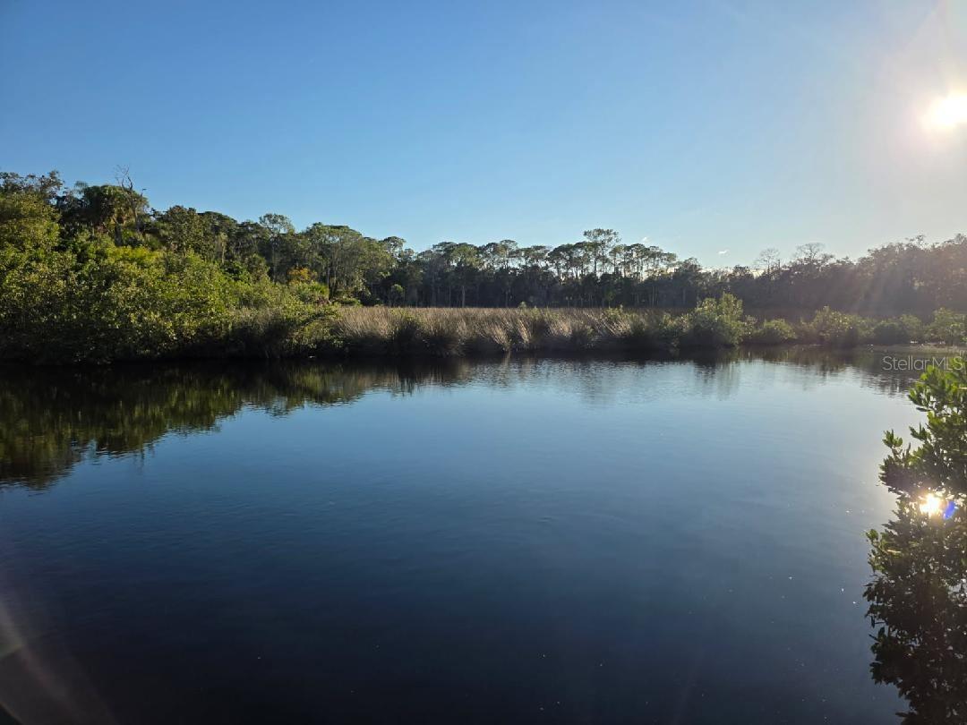 18909 Aripeka, Hudson, FL 34667