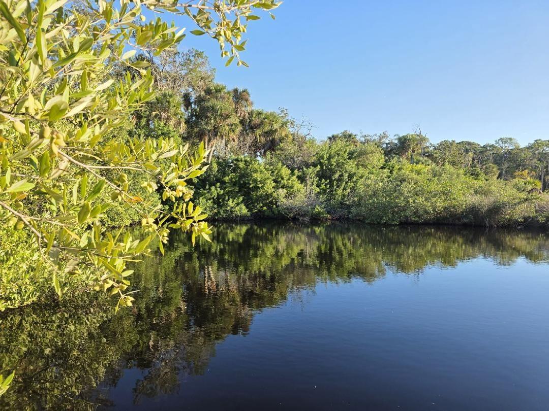 18909 Aripeka, Hudson, FL 34667