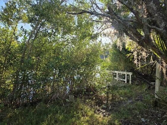18909 Aripeka, Hudson, FL 34667