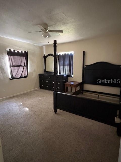 713 Euclid, Lake Wales, FL 33853