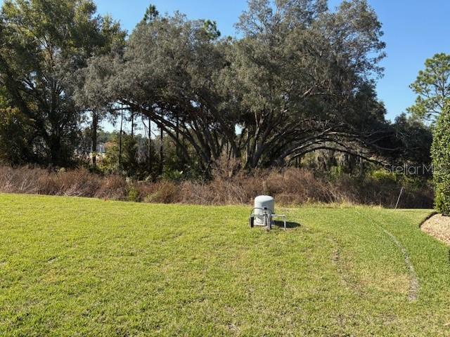 6770 179th Avenue, Dunnellon, FL 34432