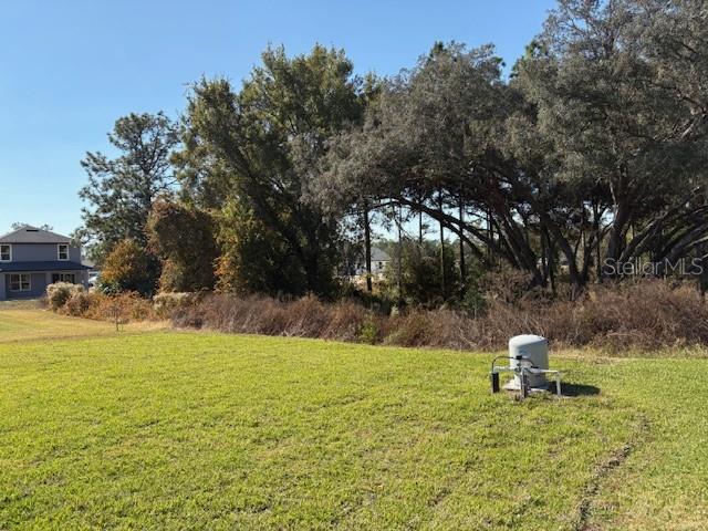 6770 179th Avenue, Dunnellon, FL 34432