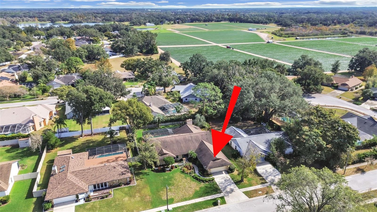 305 Running Horse, Seffner, FL 33584