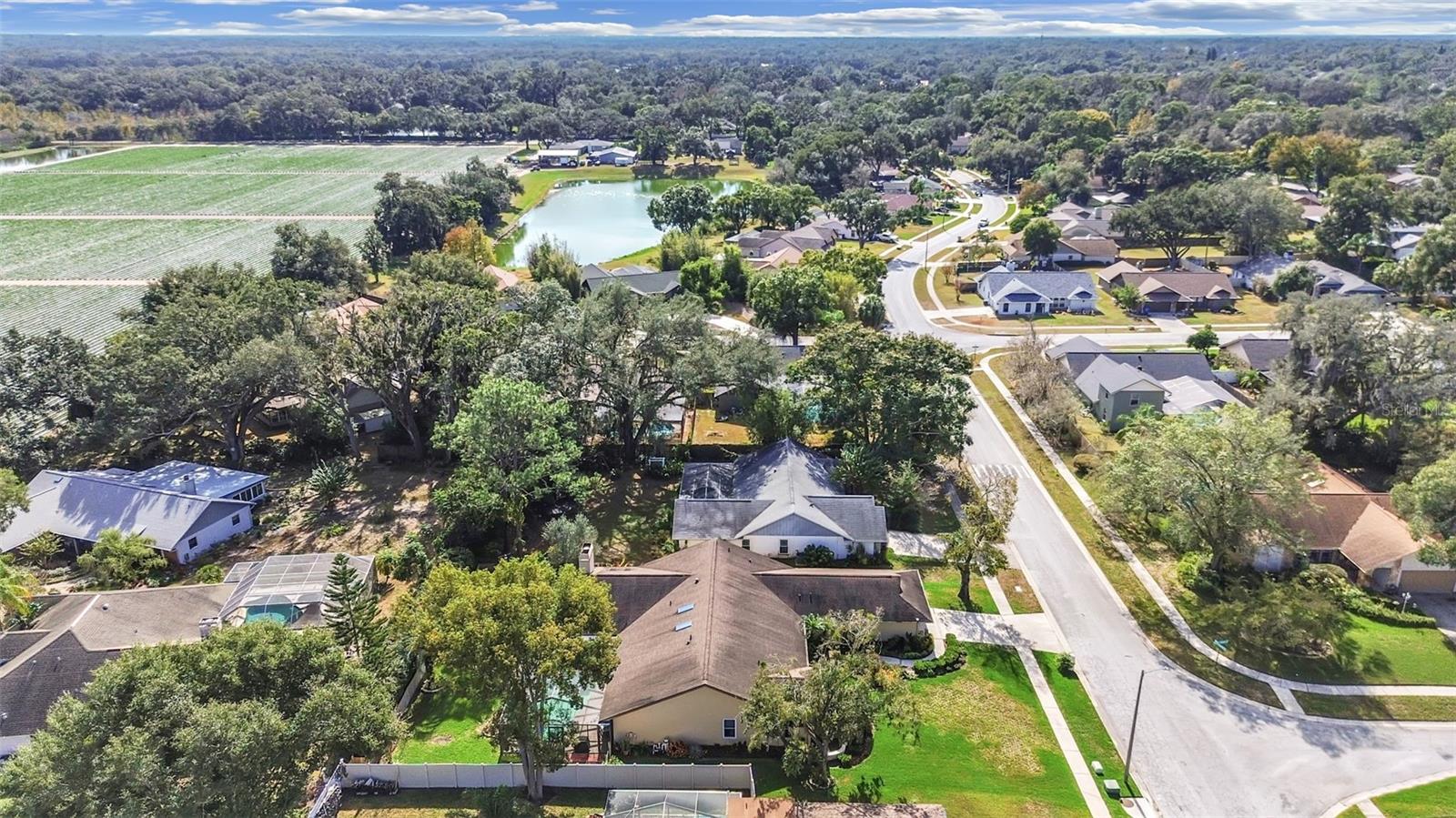 305 Running Horse, Seffner, FL 33584