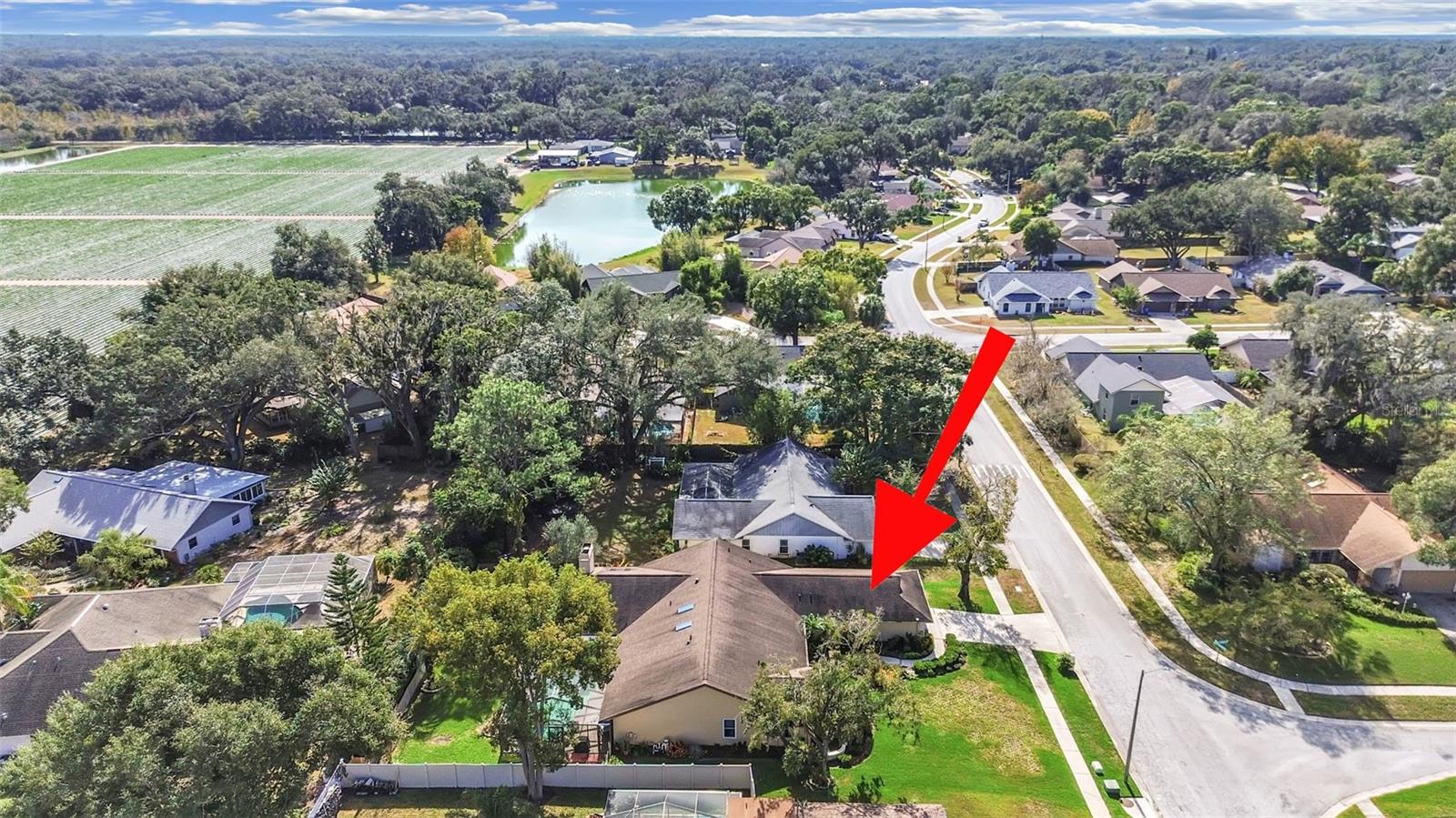 305 Running Horse, Seffner, FL 33584
