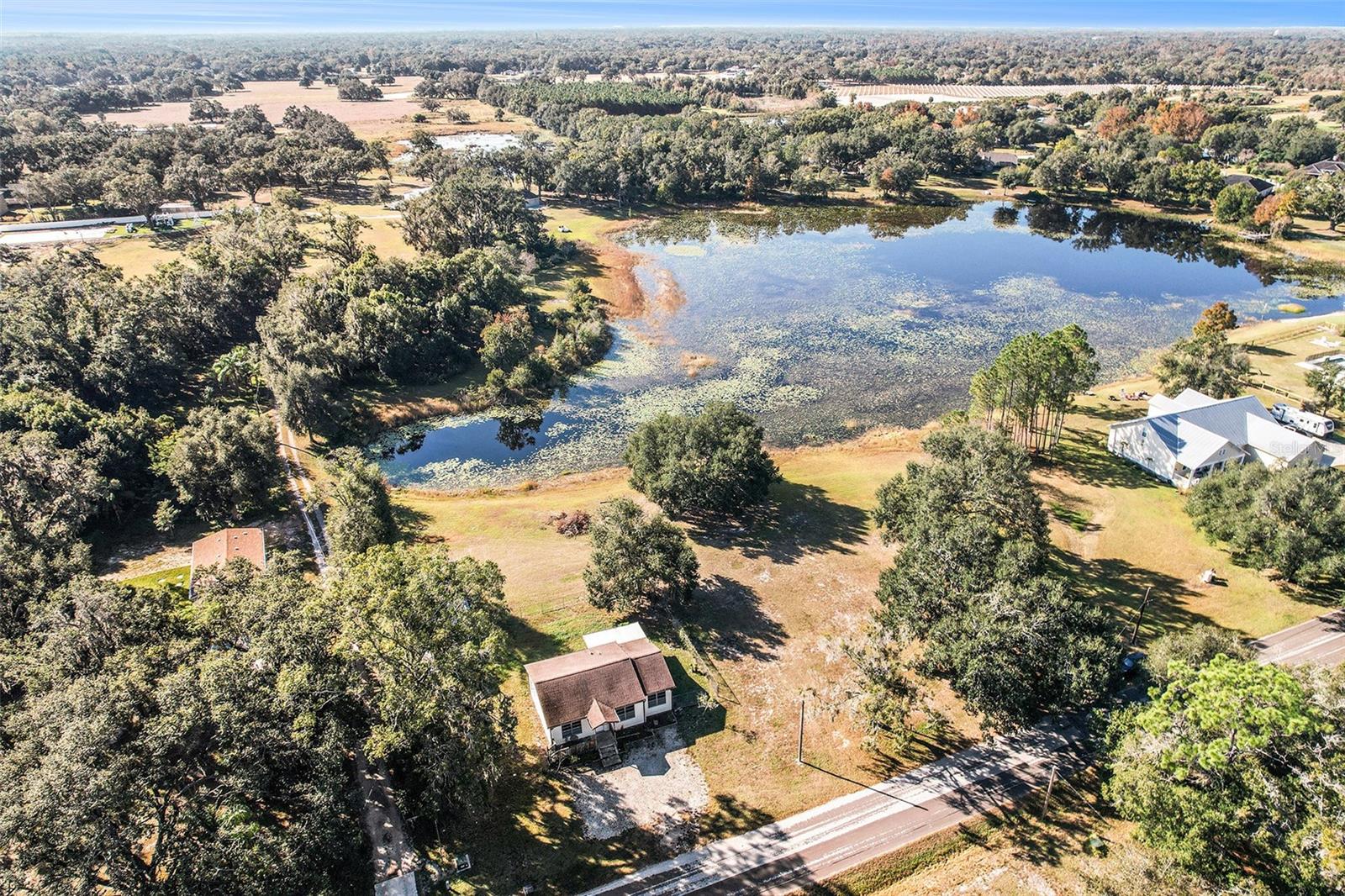 2215 Wallace, Lutz, FL 33549