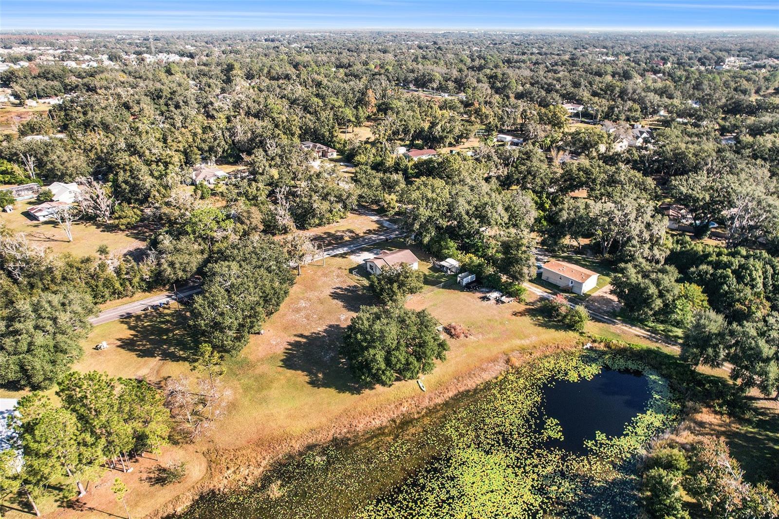 2215 Wallace, Lutz, FL 33549