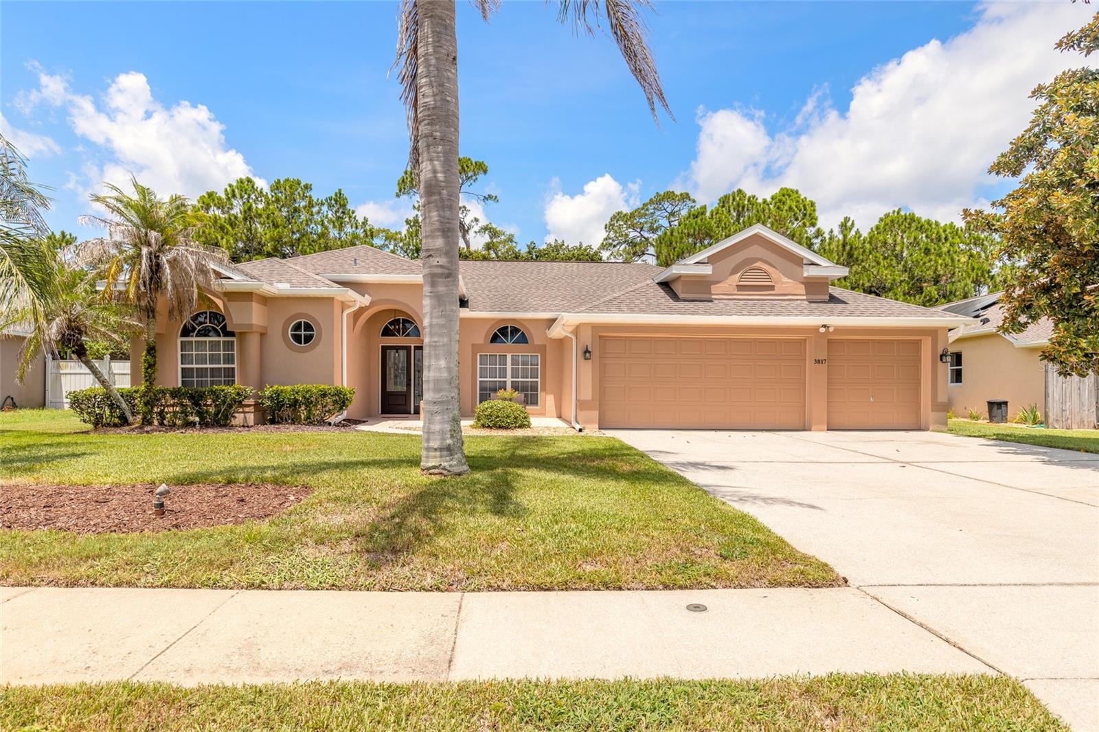 3817 Birch Mountain, Port Orange, FL 32129