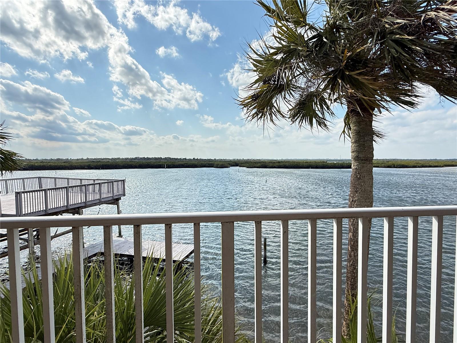 824 Eel, New Smyrna Beach, FL 32169