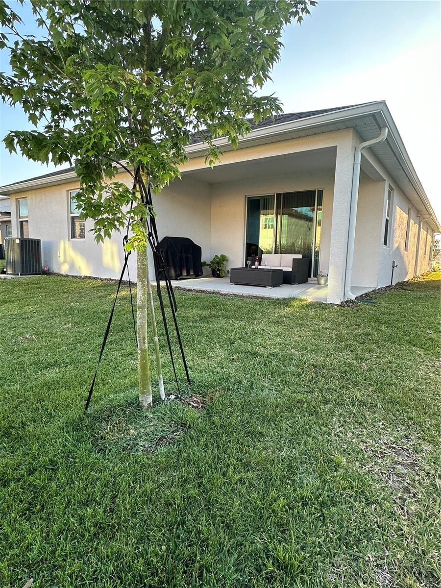 14827 Milfoil, Orlando, FL 32827