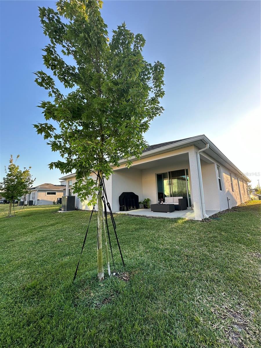 14827 Milfoil, Orlando, FL 32827