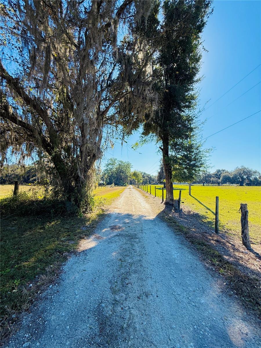 7223 55th, Bushnell, FL 33513