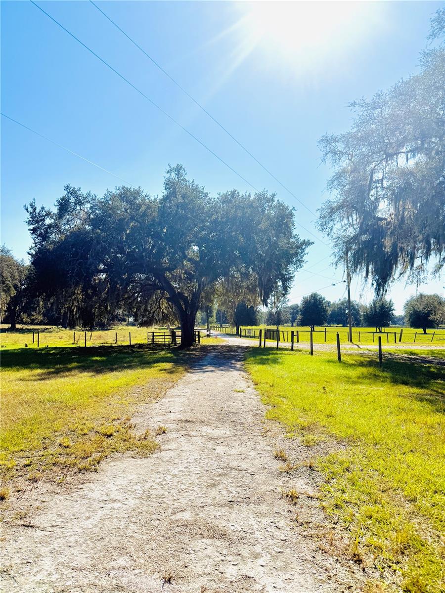 7223 55th, Bushnell, FL 33513