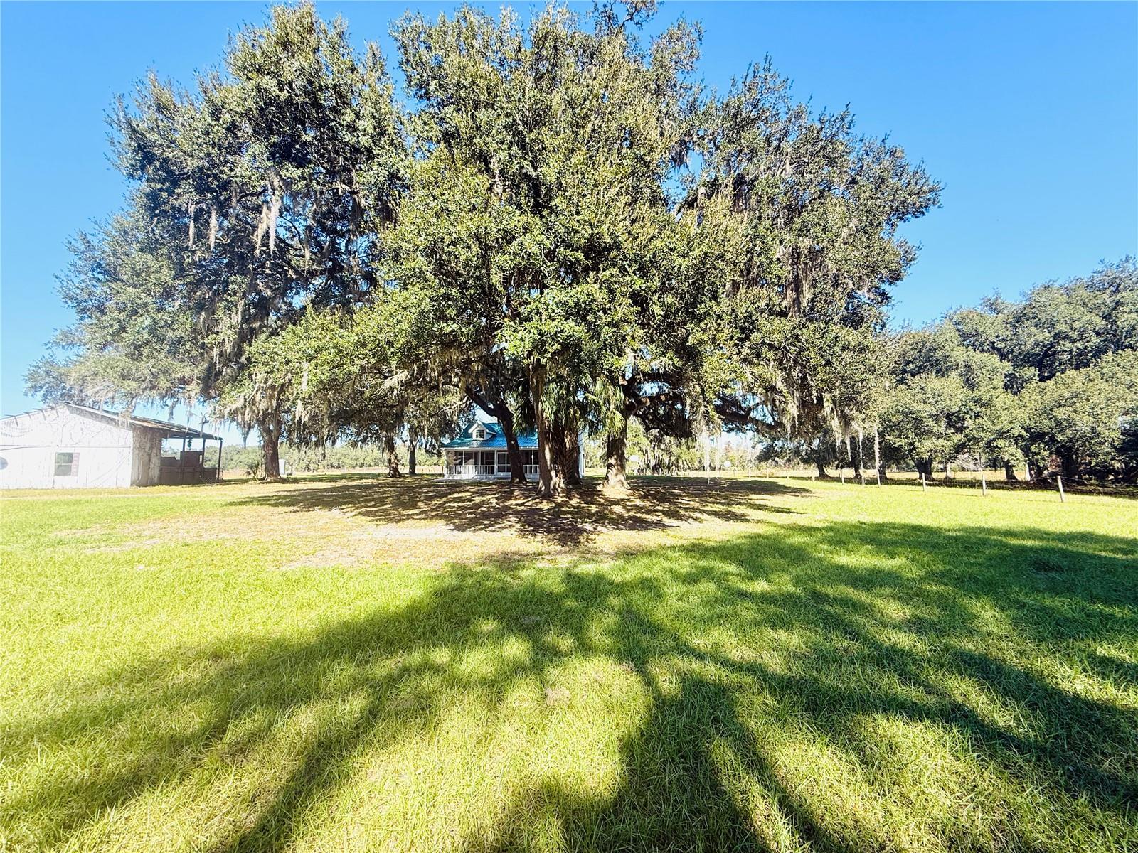 7223 55th, Bushnell, FL 33513