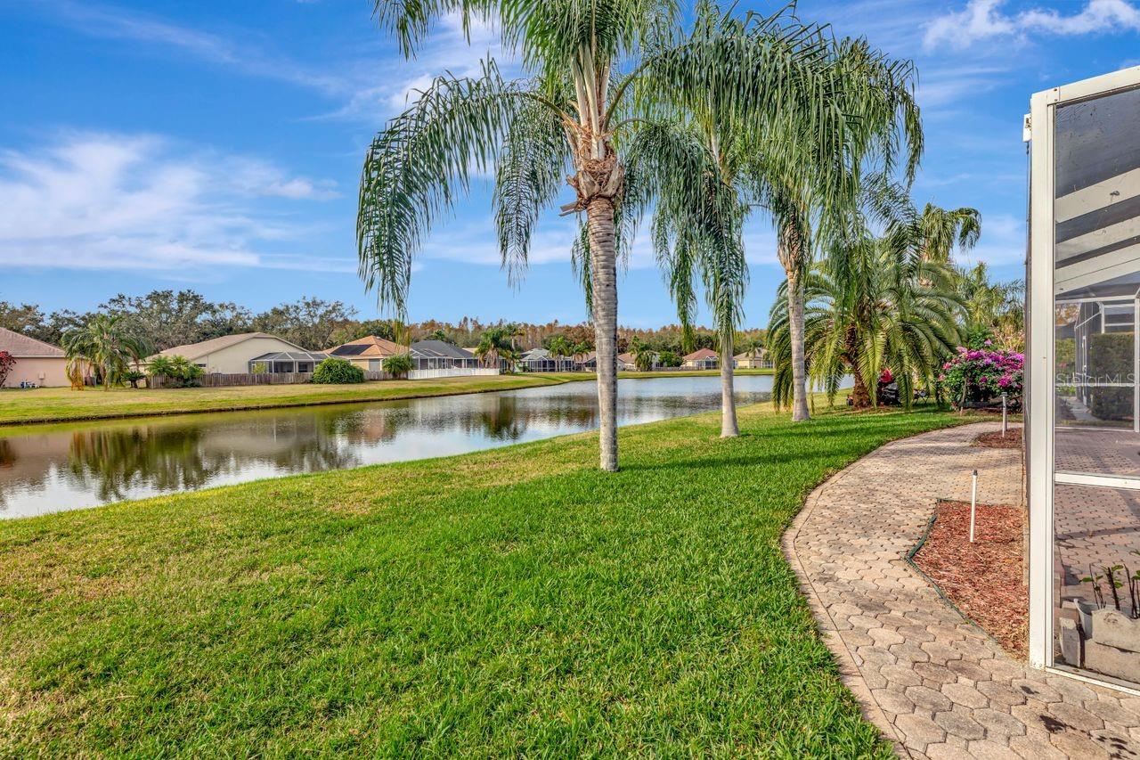 19519 Morden Blush, Lutz, FL 33558