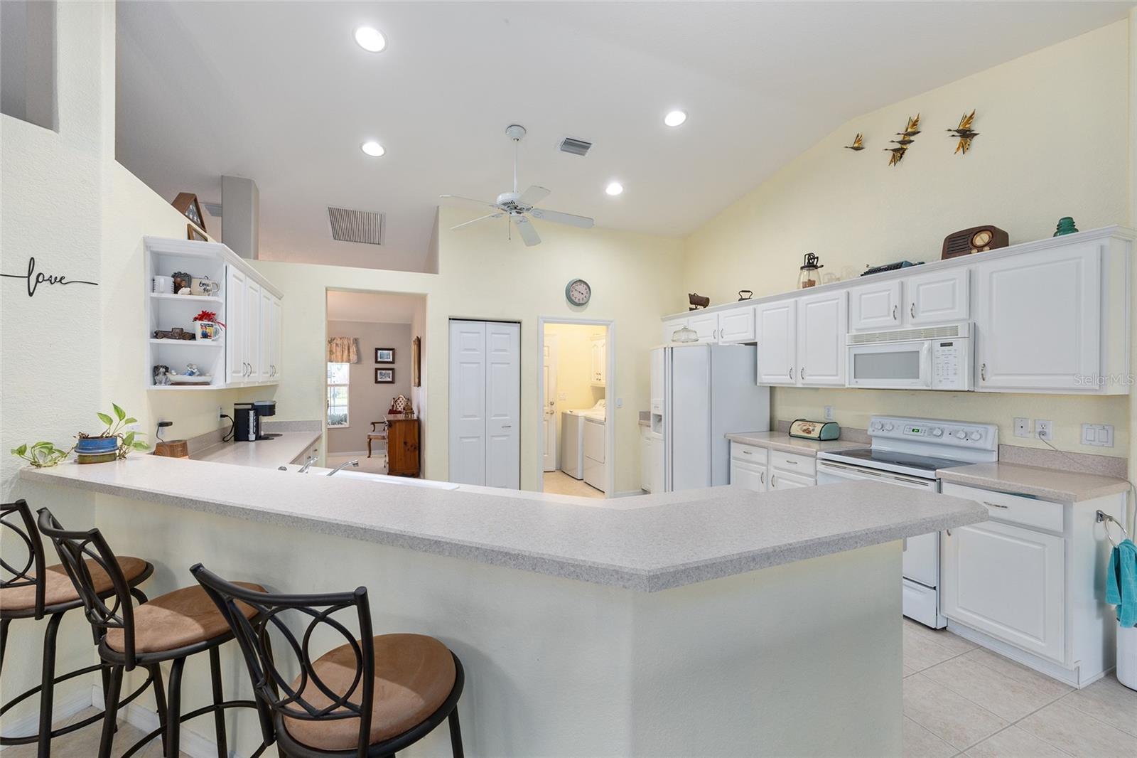 8789 136th, Summerfield, FL 34491