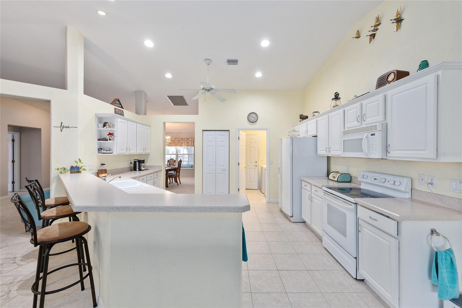 8789 136th, Summerfield, FL 34491