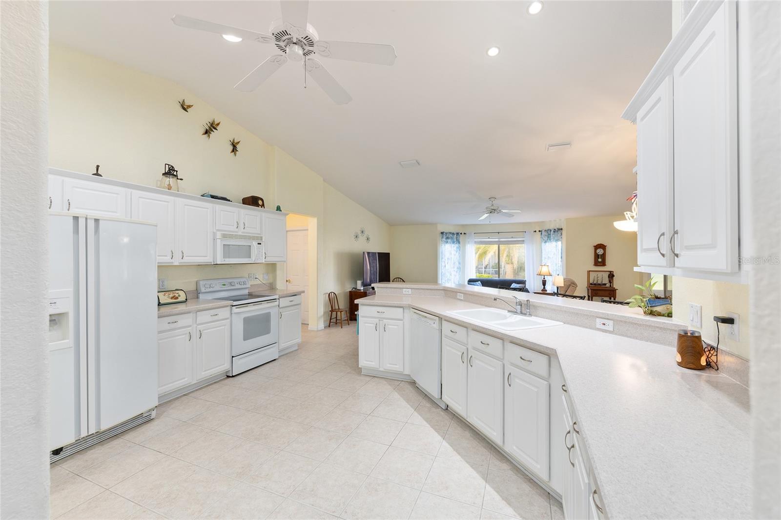 8789 136th, Summerfield, FL 34491