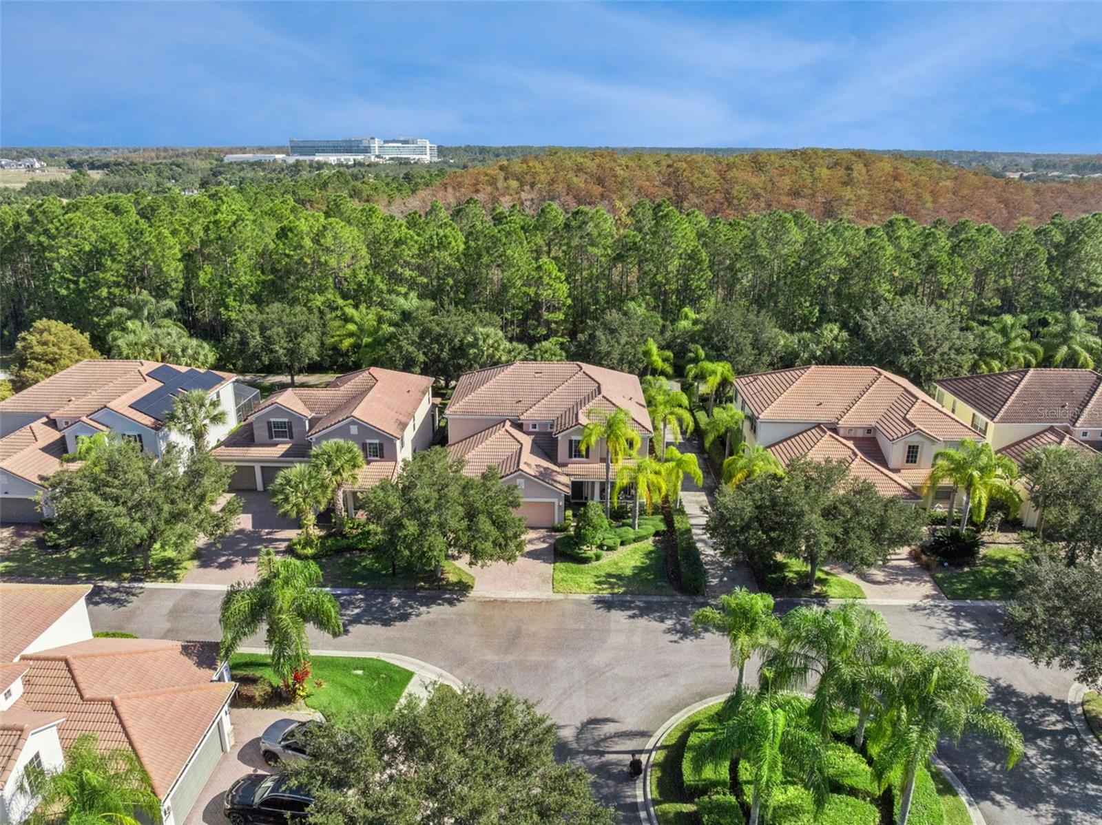 7991 Esta, Orlando, FL 32827