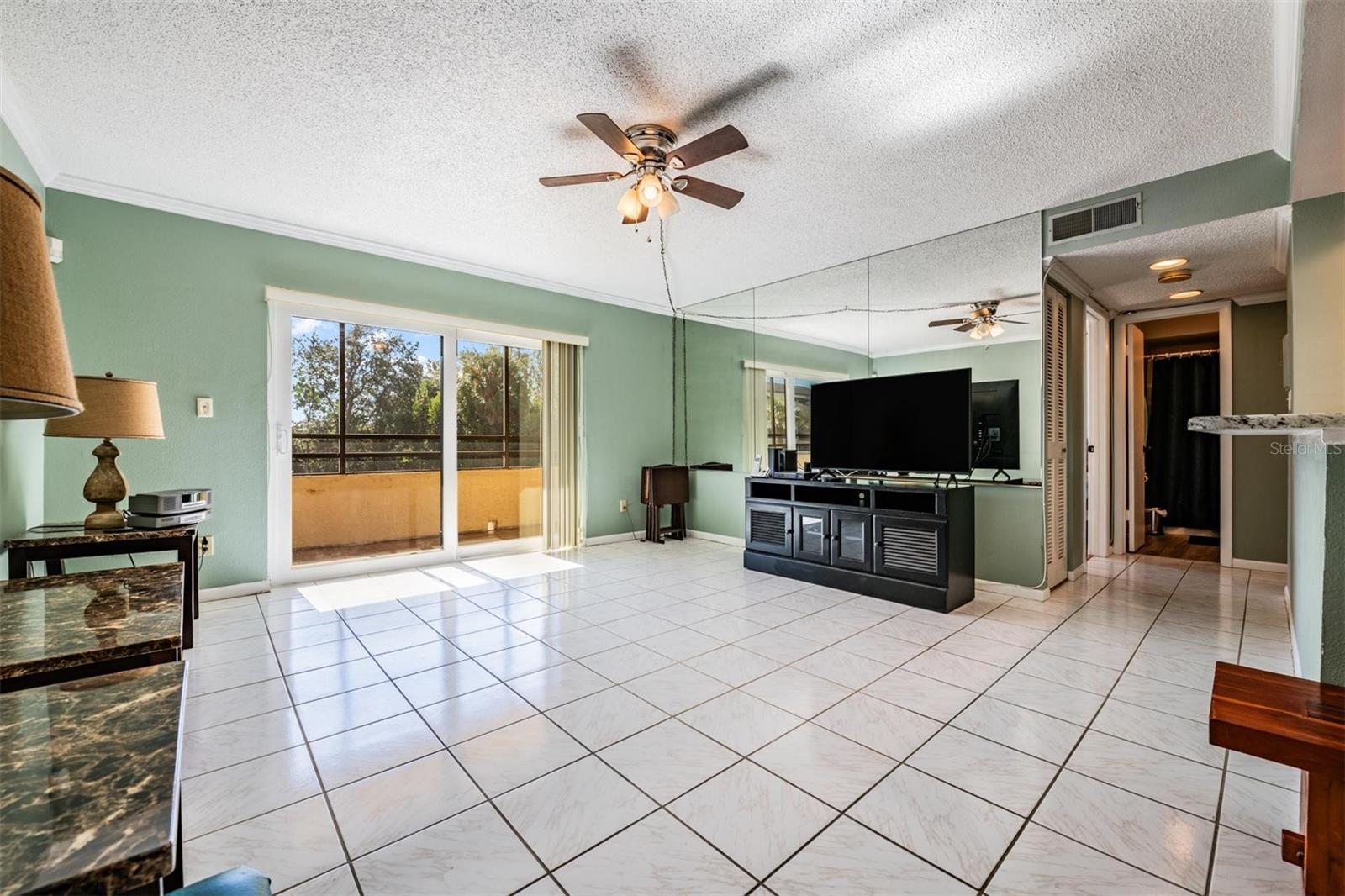 13612 Village Unit 5212, Tampa, FL 33618