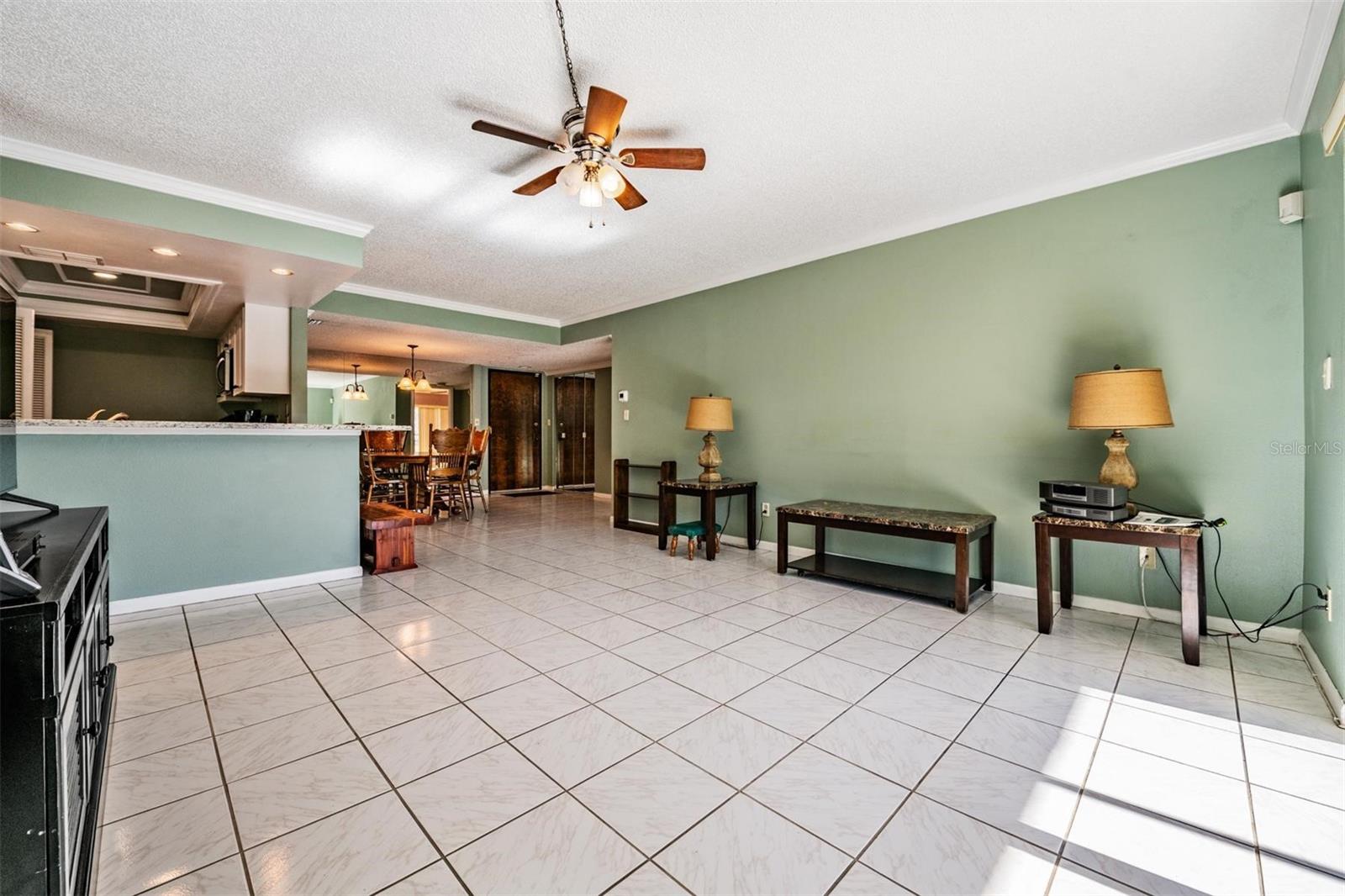 13612 Village Unit 5212, Tampa, FL 33618