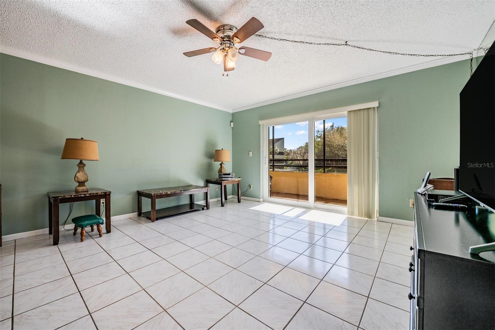 13612 Village Unit 5212, Tampa, FL 33618