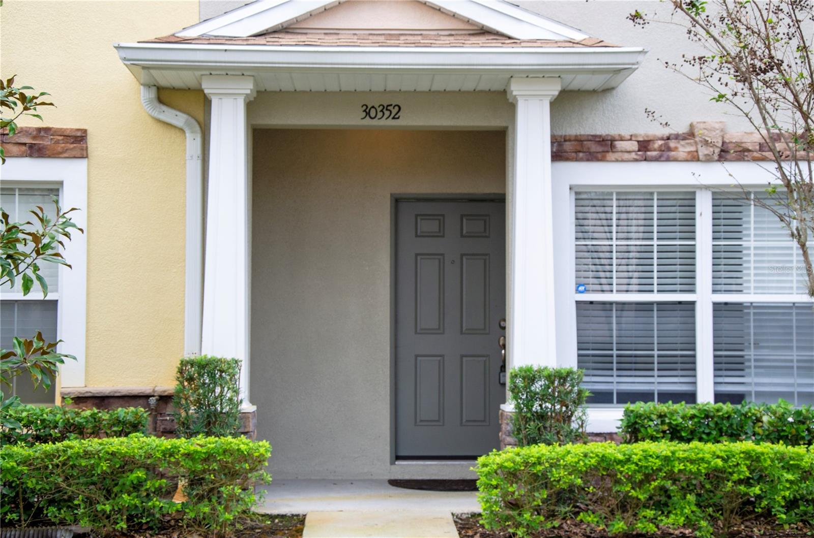 30352 Elderwood, Wesley Chapel, FL 33543