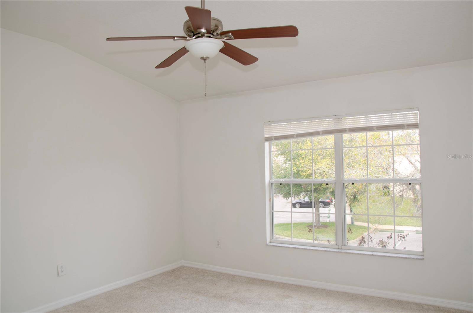 30352 Elderwood, Wesley Chapel, FL 33543