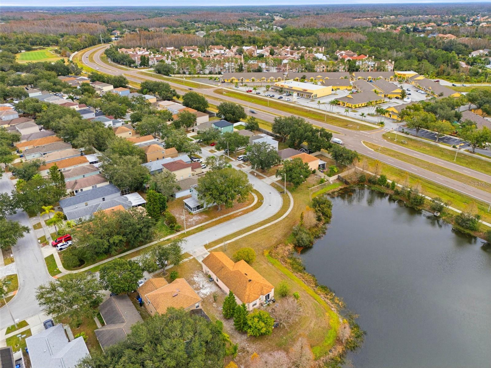 10417 Blackmore, Tampa, FL 33647