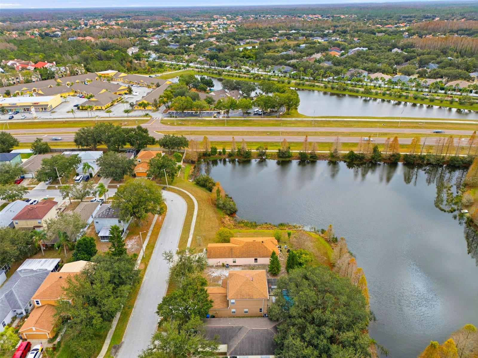 10417 Blackmore, Tampa, FL 33647