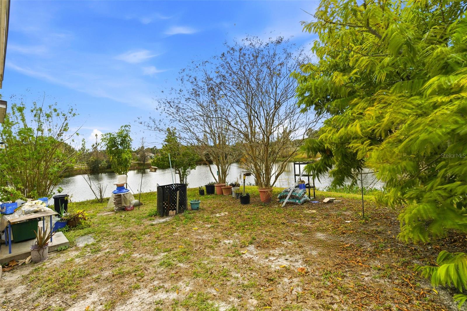 10417 Blackmore, Tampa, FL 33647