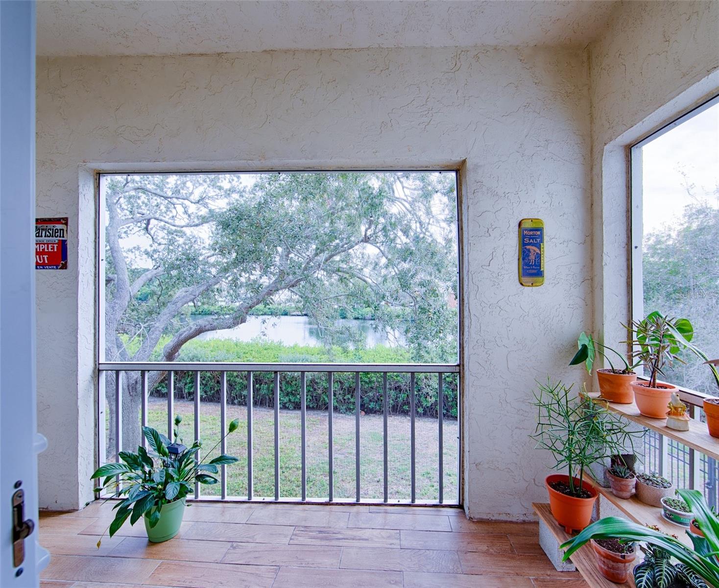 1860 Massachusetts Unit 224, St Petersburg, FL 33703