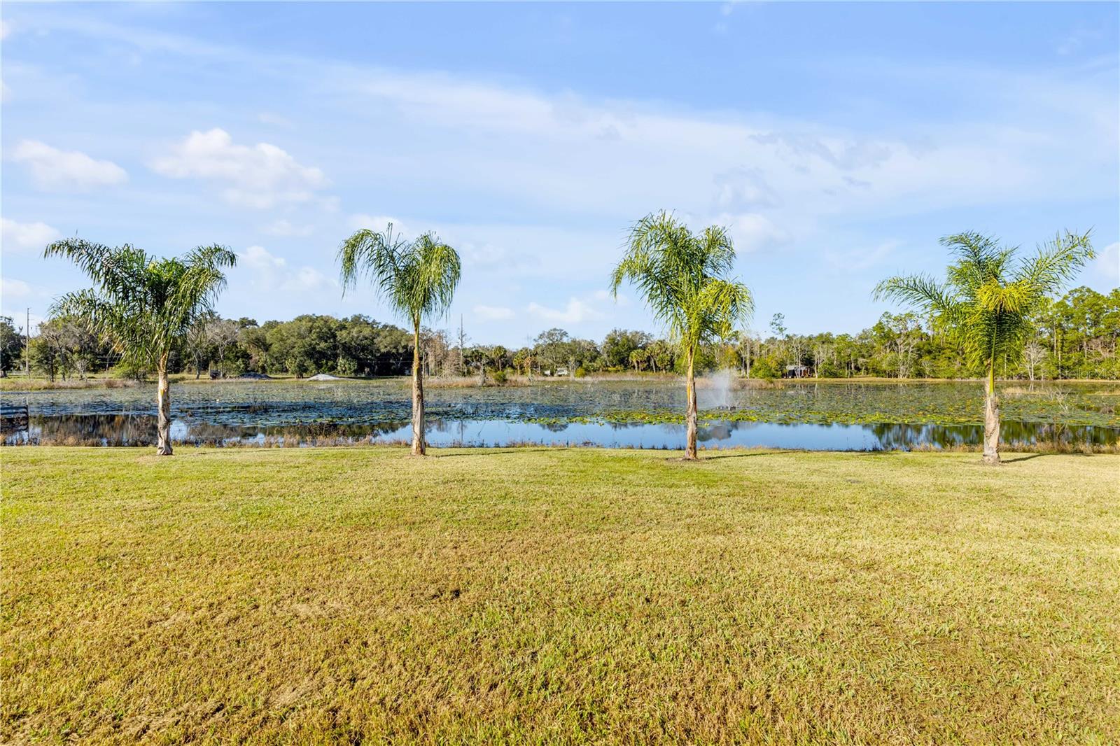 420 Roberts, Pierson, FL 32180